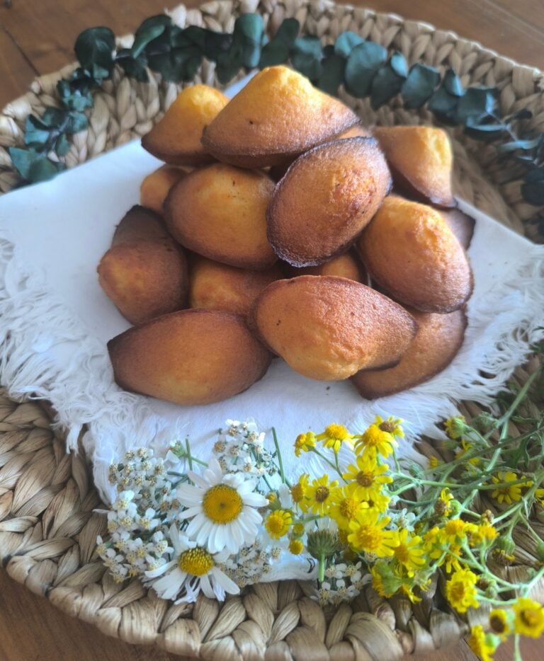 Madeleine de mon enfance